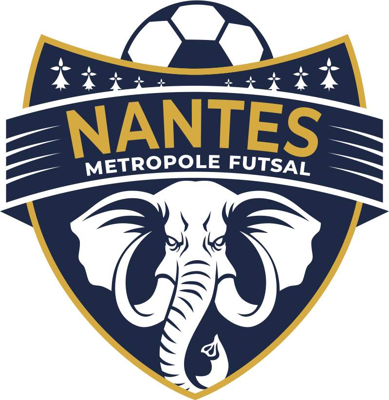 Logo NMF